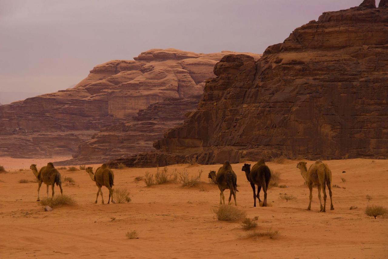 Wadi Rum Desert Secret Camp Exterior foto