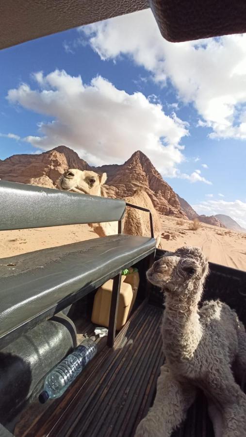 Wadi Rum Desert Secret Camp Exterior foto